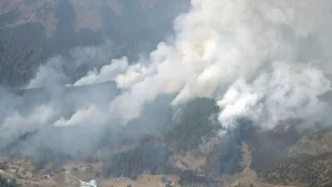 Greek Wildfires Amid the 2025 Heatwave