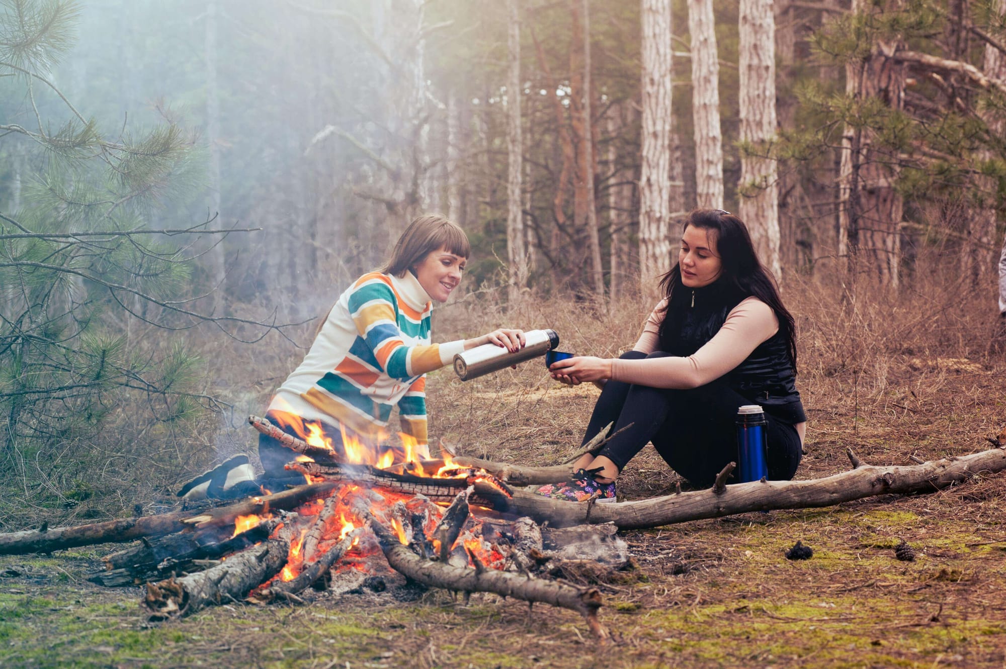 Grow As a Creator with Creator Camp: Growth, Starting June 1