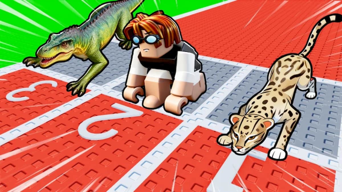 Animal Training codes (May 2026)